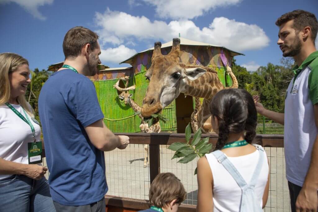 Beto Carrero oferece nova atração para curtir o zoológico do parque 