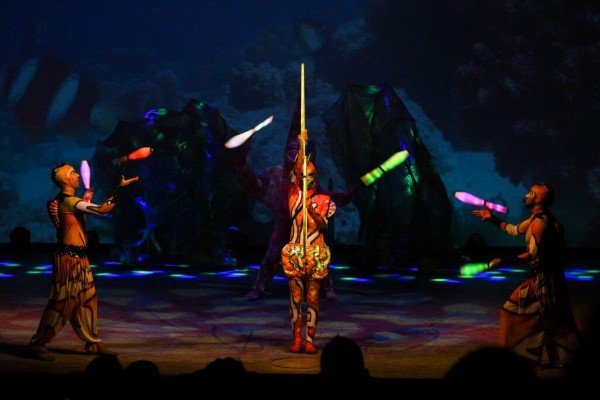 Conheça os opcionais do Beto Carrero World