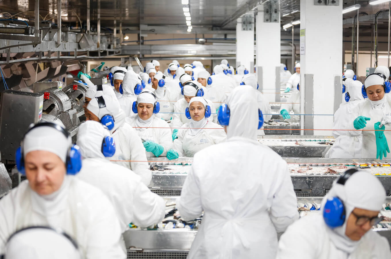 Nauterra terá novos feirões de empregos em outubro; saiba como participar 