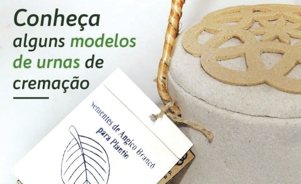 Conheça alguns modelos de urnas de cremação Vaticano