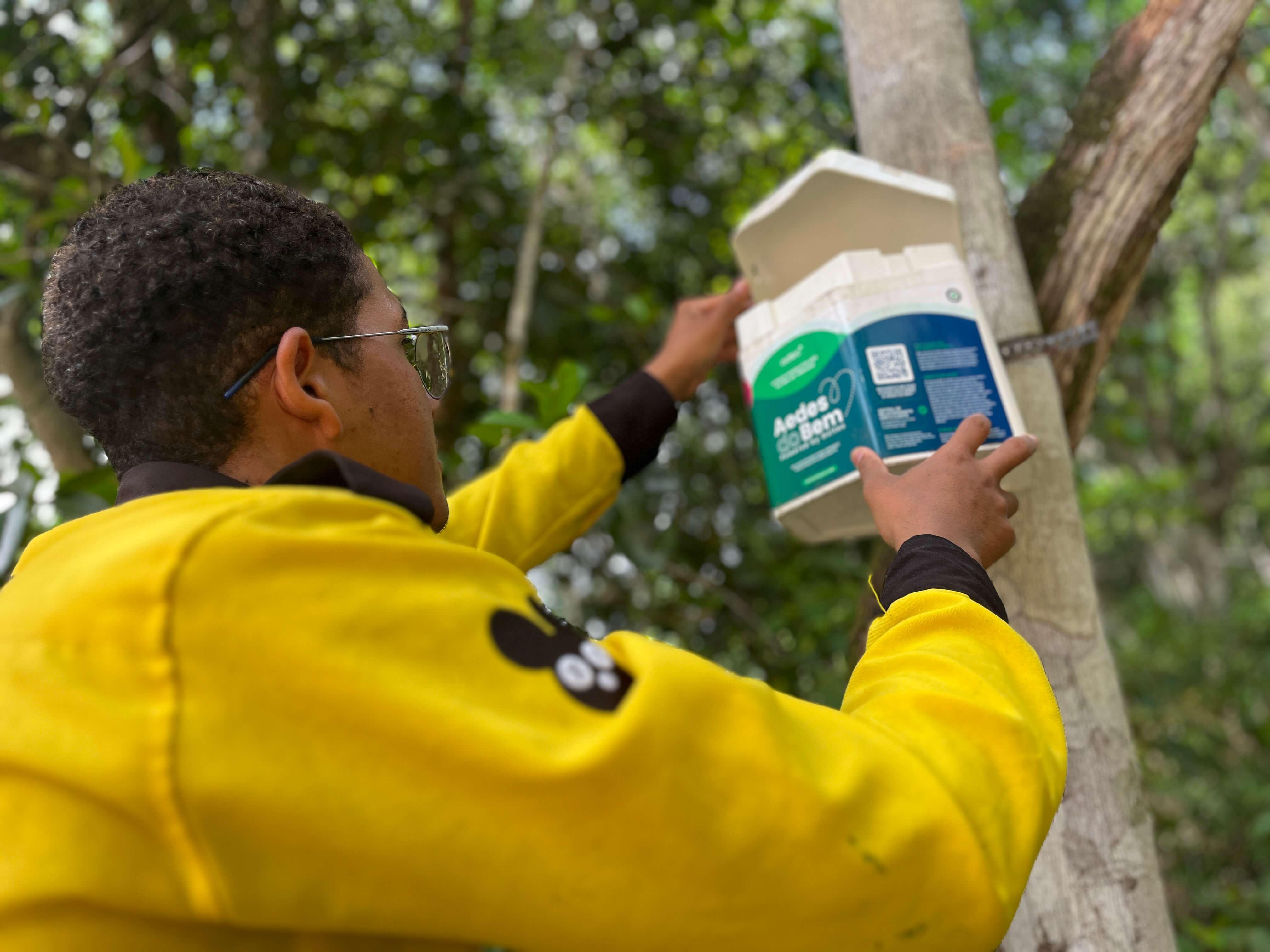 Tecnologia contra dengue completa um ano na Valley School que não tem registros da doença