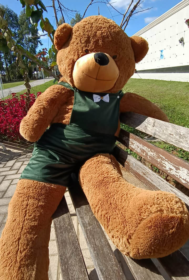 Crematório Vaticano agora tem urso gigante para confortar despedidas