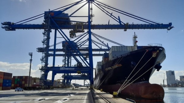 Portonave começa 2022 com nova linha de armador