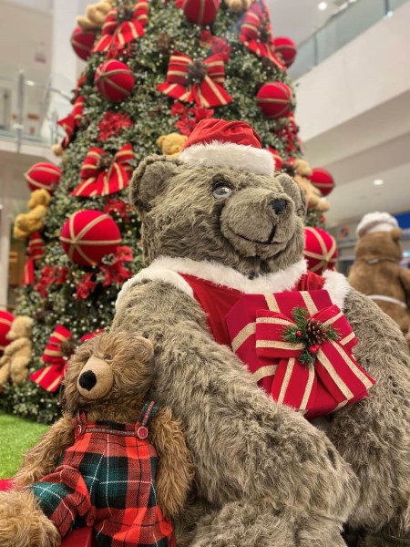 Itajaí Shopping tem programação artística com músicos da região