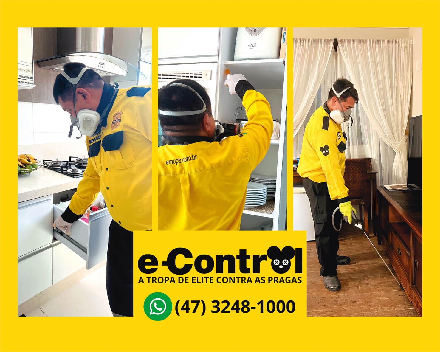 E-Control tem solução eficiente para combater pragas urbanas 