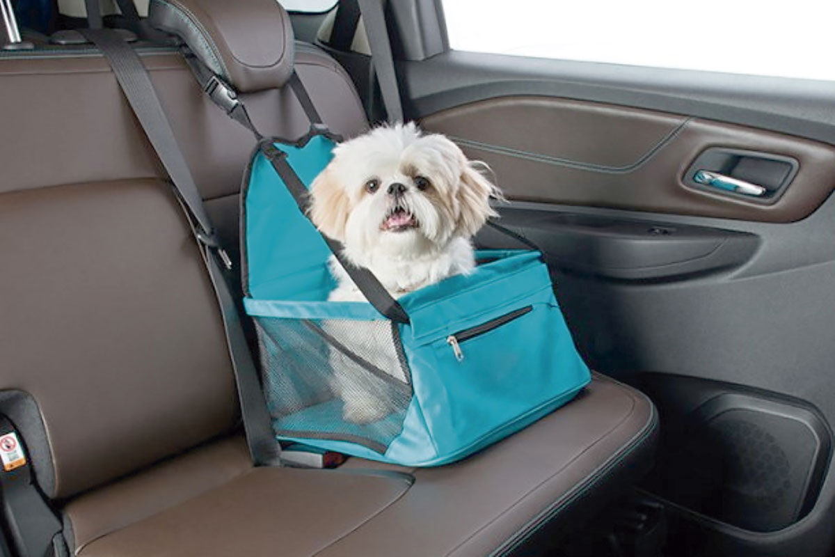 Check-list para levar seu  pet em viagens de carro