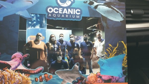 Águas vivas cultivadas na Univali viram atração no Oceanic Aquarium