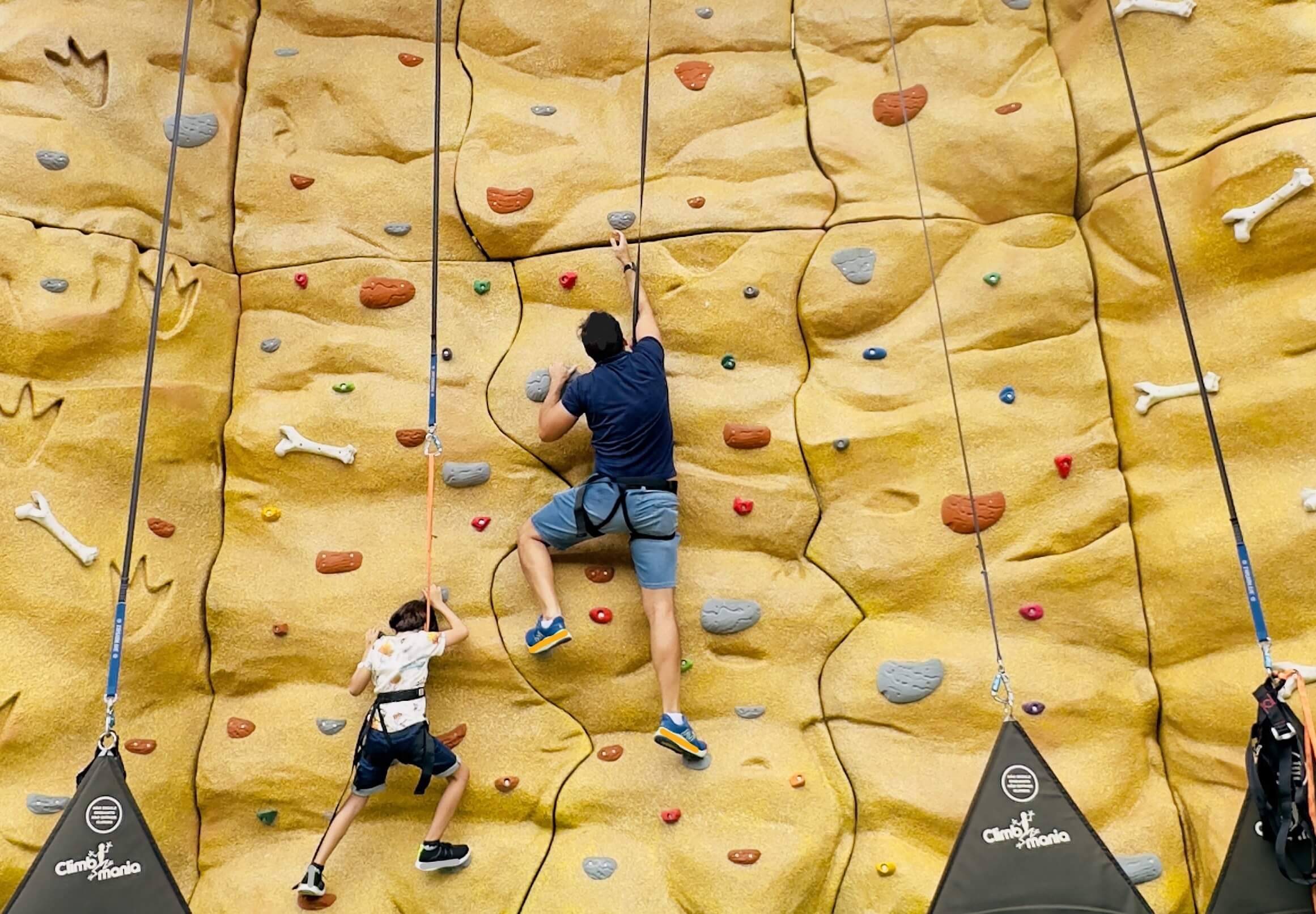Maior parque de dinossauros do Brasil traz novas atrações para o verão