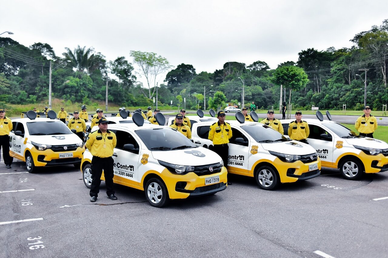 Controle de pragas dentro de casa previne baratas, ratos e formigas