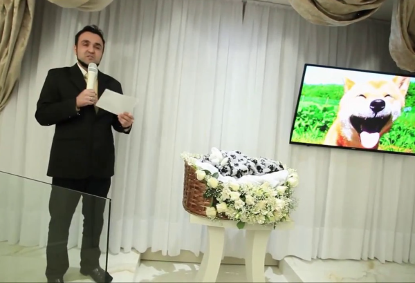 Crematório oferece opção de homenagem ao pet