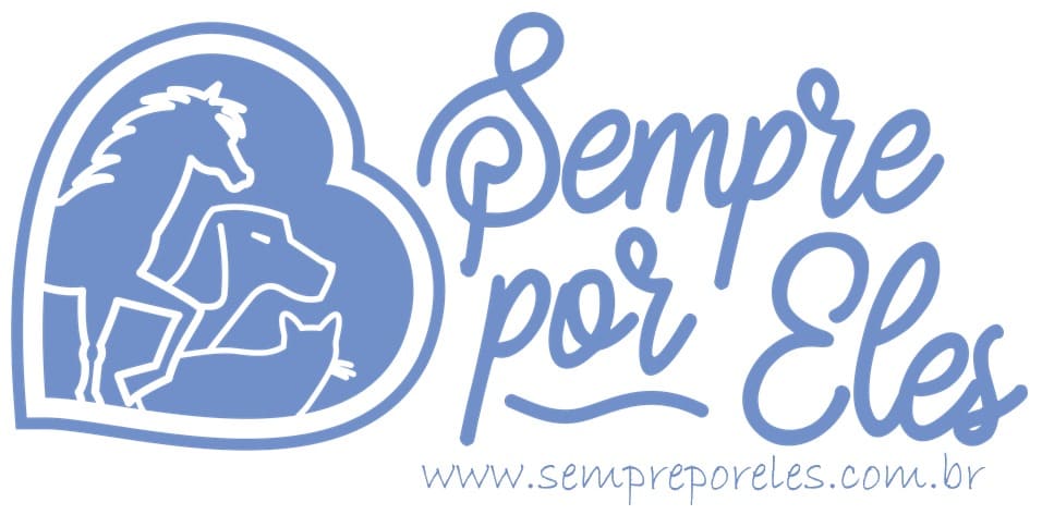 Voluntárias criam site para divulgar animais recolhidos no canil municipal de Itajaí-SC